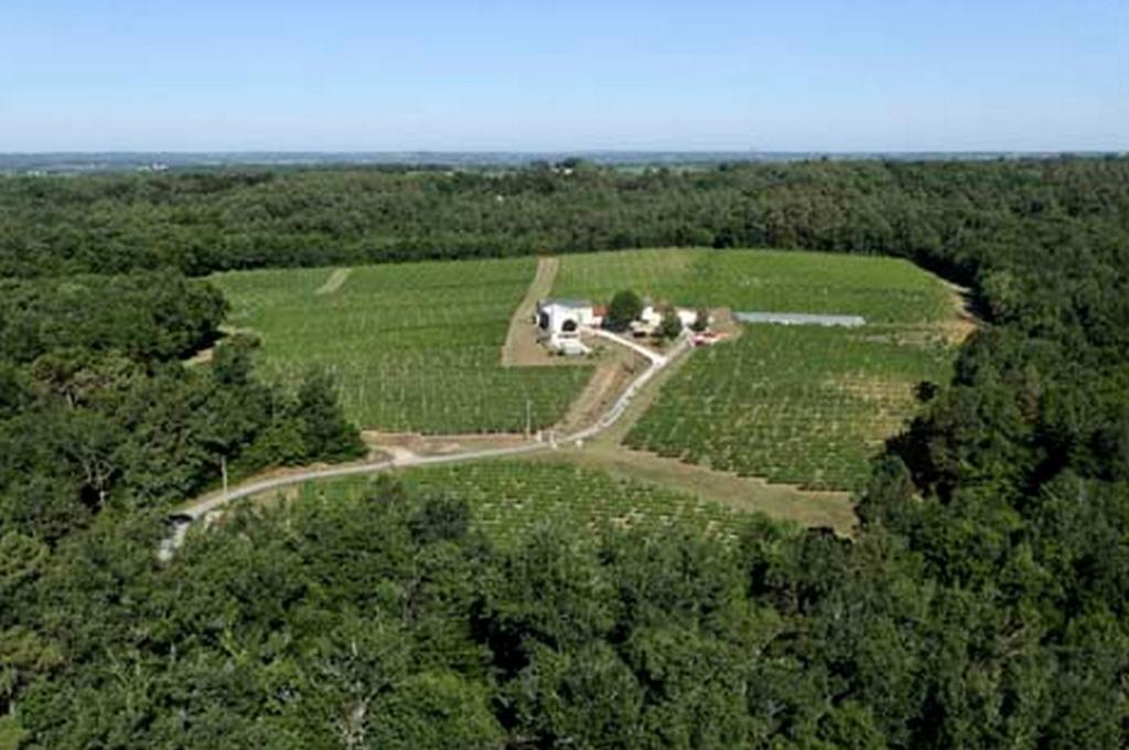 Отель Domaine De Grand Homme Бордо Экстерьер фото